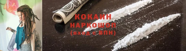 шишки Балахна