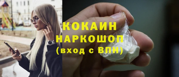 шишки Балахна