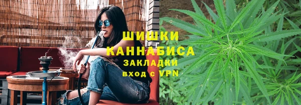 шишки Балахна