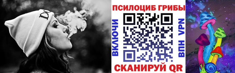 Купить Заполярный Галлюциногенные грибы прущие грибы